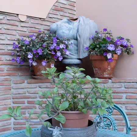 Ideal Vacaciones Sol, Playa *